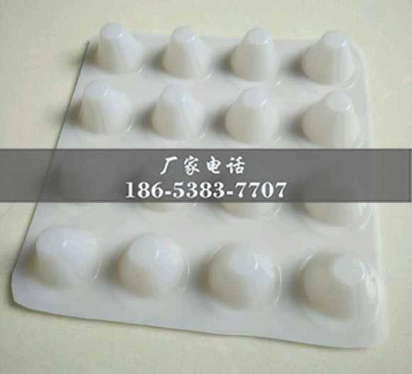 排水板廠家http://www.csxgsm.cn/